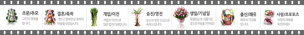 생일기념일바로가기