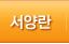서양란