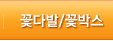 꽃다발