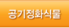 공기정화식물