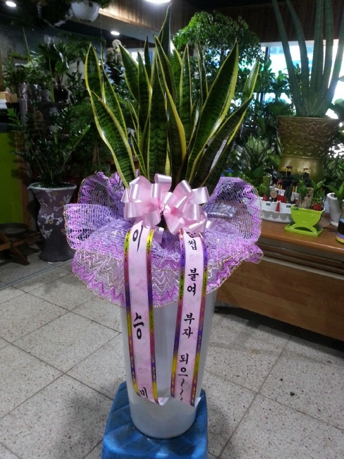 배송사진