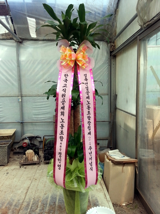 배송사진