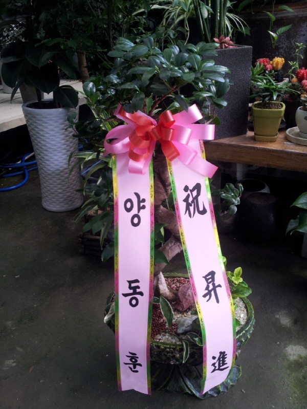 배송사진