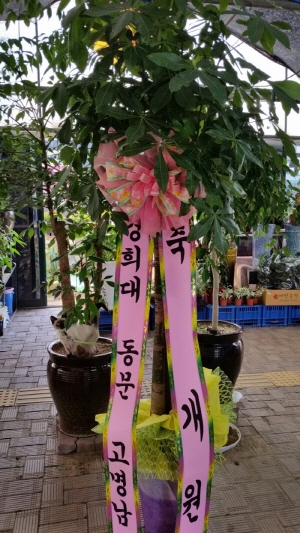배송사진