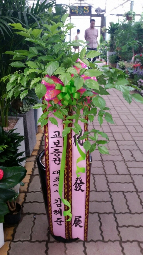 배송사진