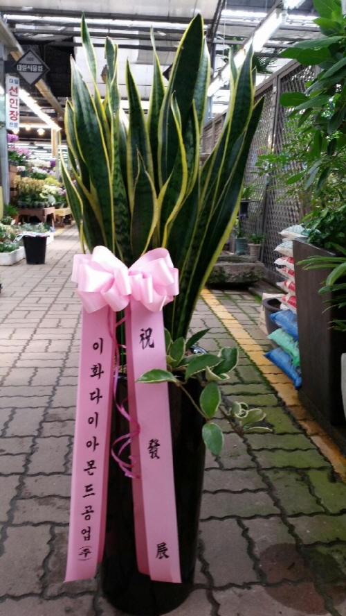배송사진